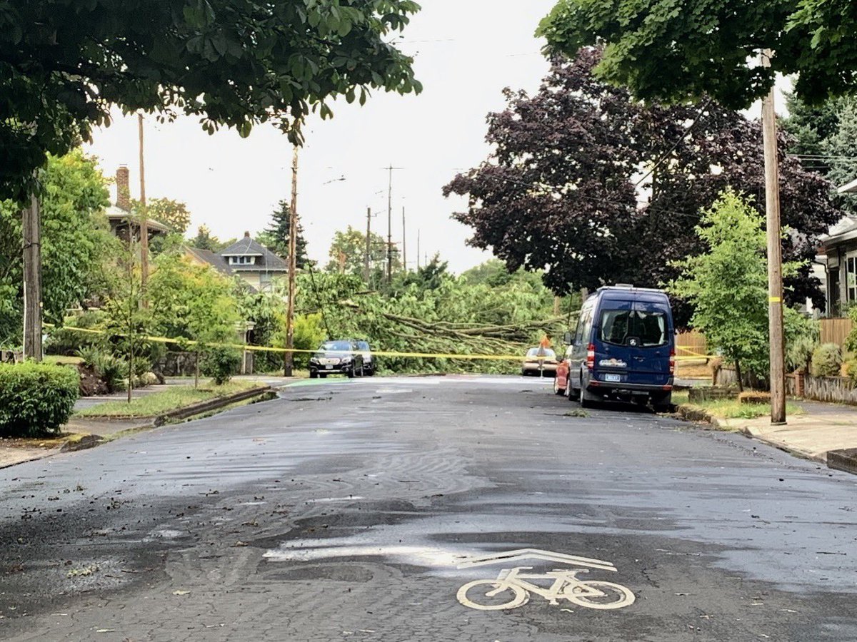 3djeff's tweet photo. Destruction on NE Going St. from the storm. This is on my bike route. #PortlandOR #portlandstorm https://t.co/keflYhCD6w