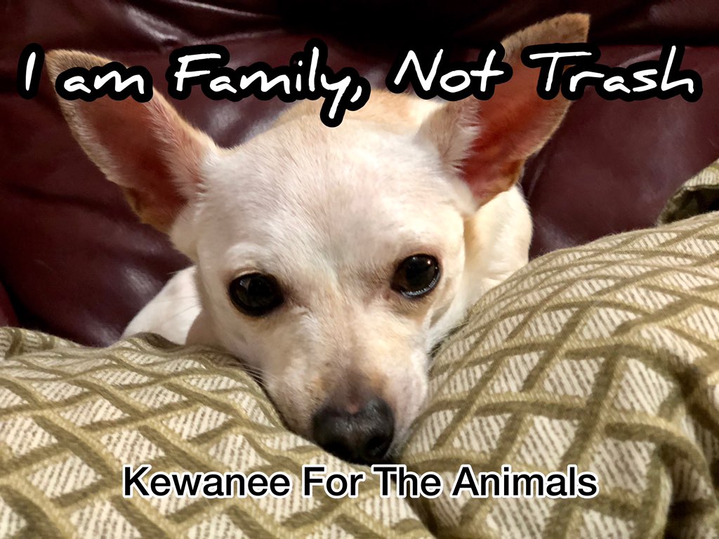 Kewanee4Animals's tweet image. #FamilyNotTrash #CheechStrong Treat them like family or don’t get them at all