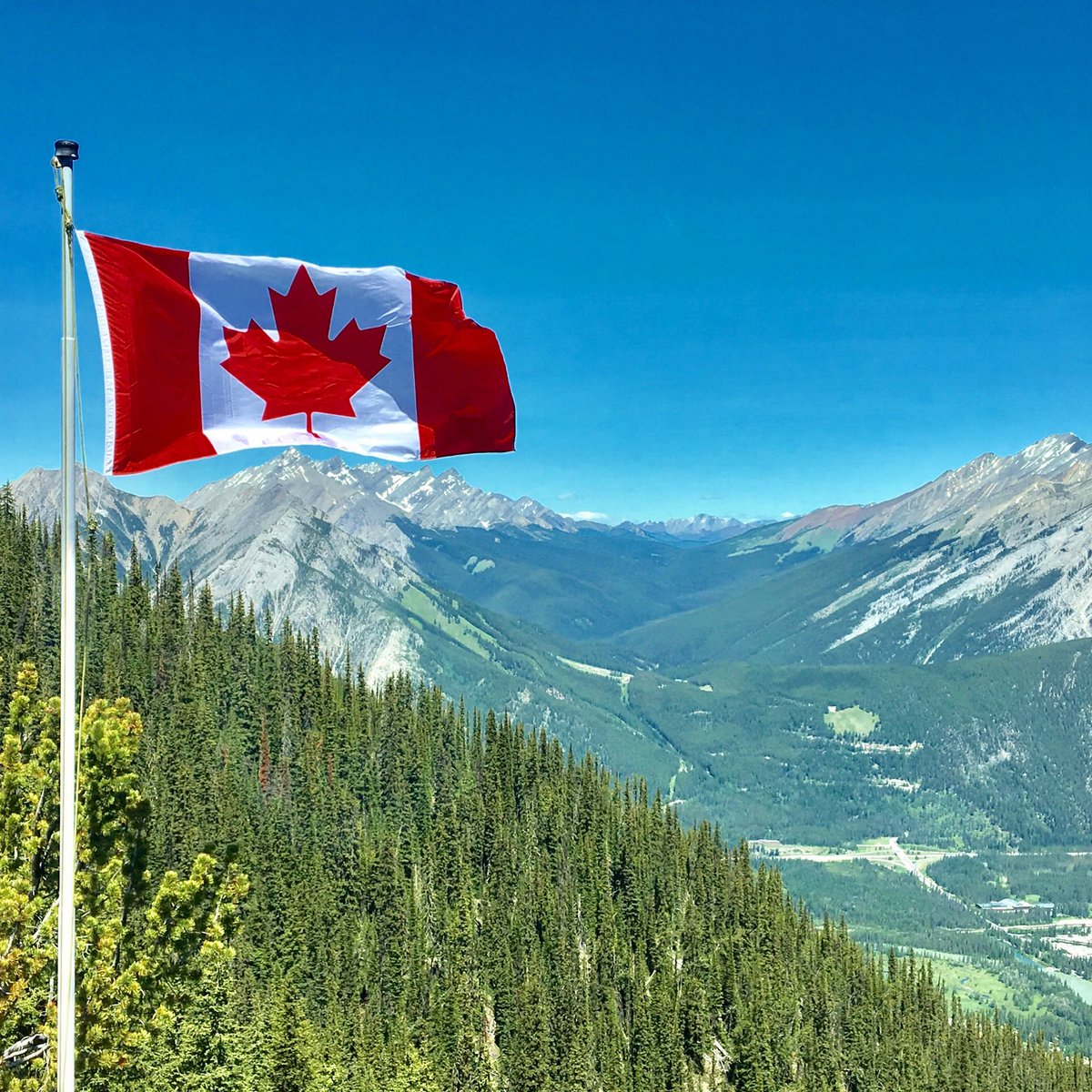 zenGOTzen's tweet photo. We are getting after those views for Canada Day! We hope that you’re all having a safe and enjoyable long weekend with friends and family! 🇨🇦 
#canadaday #zengot https://t.co/ZjkyeG3ATK