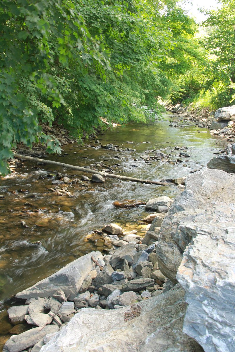 bmeade764's tweet photo. Take me to the river. It is there I recharge my soul. #river #outdooradventures #getoutside #lovinglife #spoiled #adventure #seizetheday #exploreyourworld https://t.co/86iUbDAdvr