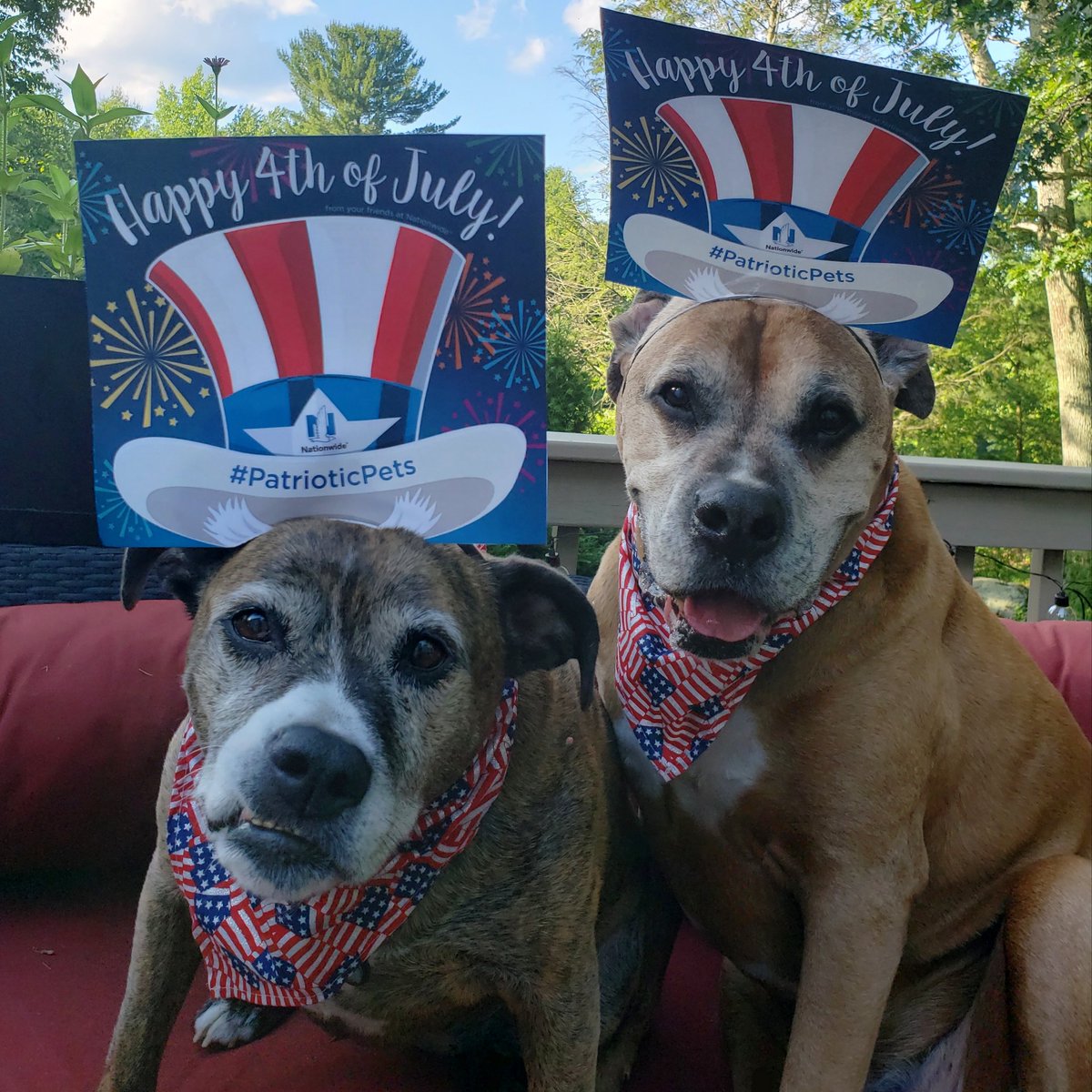 jenngren's tweet photo. #PatrioticPets 🇺🇸🐶
@nationwidepet #happy4thofjuly from Sprocket &amp; Ratchet
#nationwidepet #contest #july4 #patriotic #dogs #dogsoftwitter #doggos #boxer #boxermix #rescue #dontshopadopt #petsofnw #petinsurance #petsoftwitter #petsarefamily https://t.co/d8Qp3gRkXz