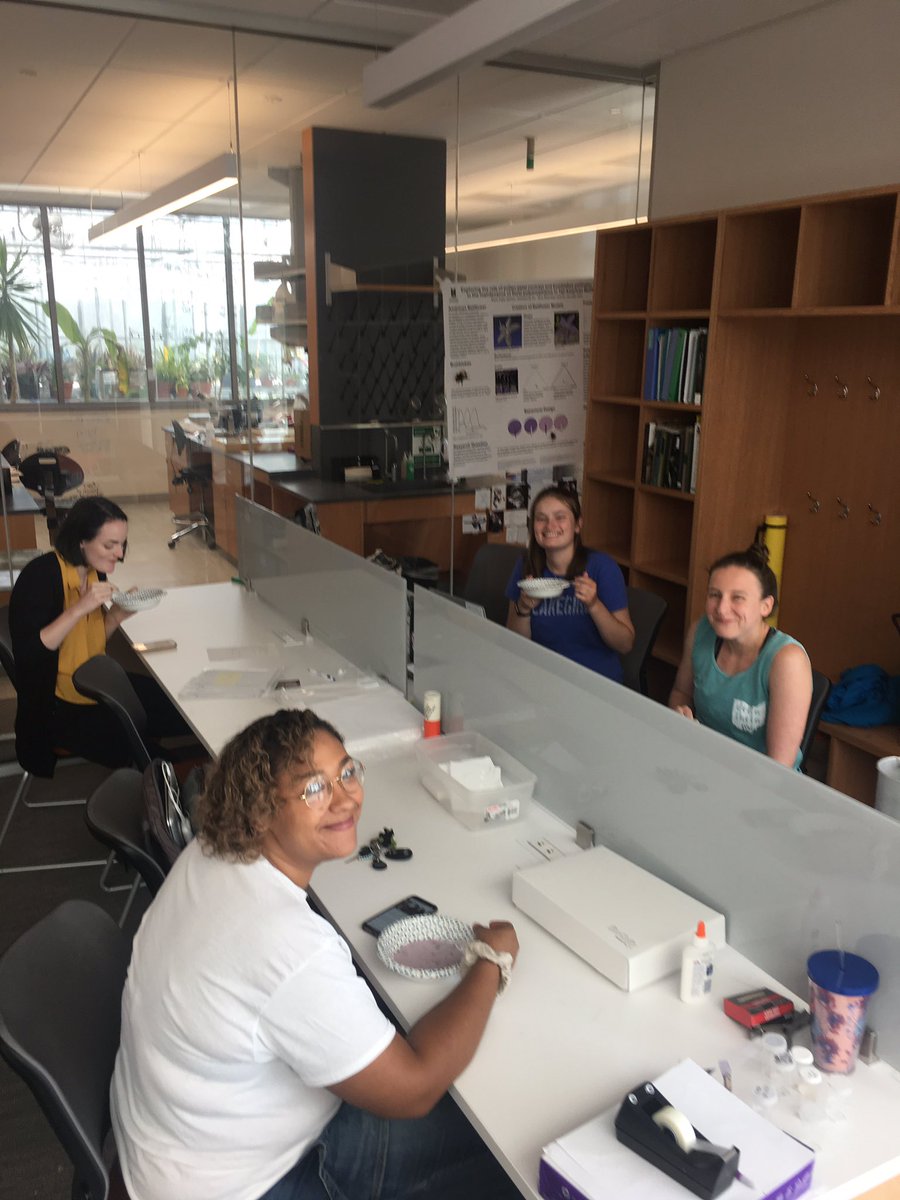 IsonJenniferL's tweet photo. Ison lab/@TeamEchinacea East were briefly together today before some of us head to MN. Best part seeing @Bumbling_along AZ pics and ice cream. Big thanks to @sci_with_miy for keeping me sane when my to do list got too long #readyforthefield https://t.co/TK7CVX1nBc