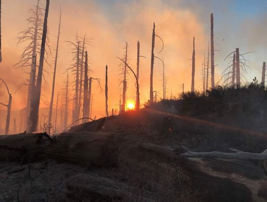 ActionNewsNow's tweet image. The East Fire burning in Trinity Co. in the Yolla Bolly Wilderness Area is 45 percent contained, and the Forest Service explains why the containment number might not increase. #TrinityCo #YollaBolly #EastFire #Covelo actionnewsnow.com/content/news/C…