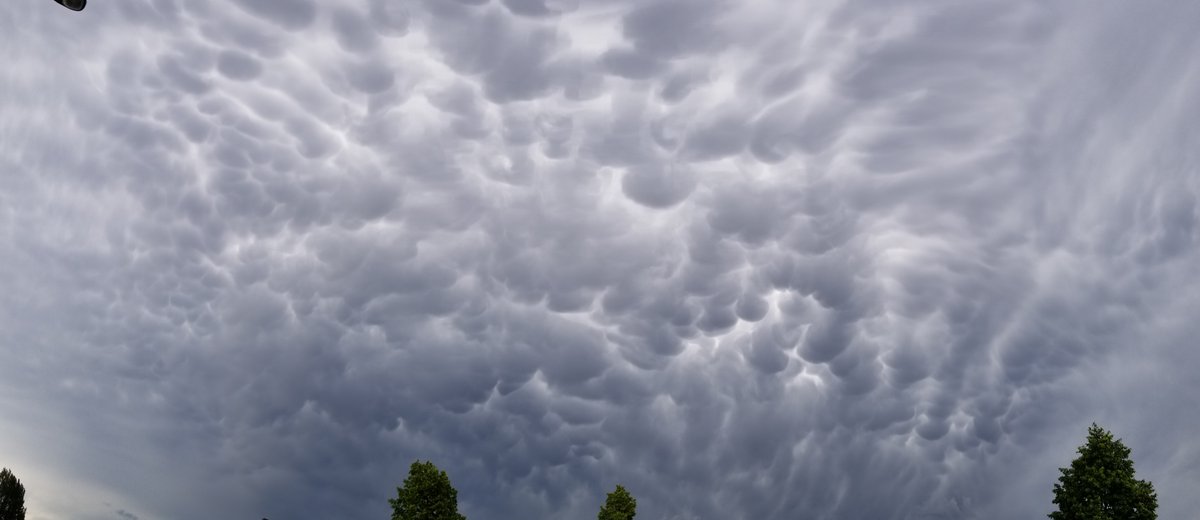 Daxton D tweet media