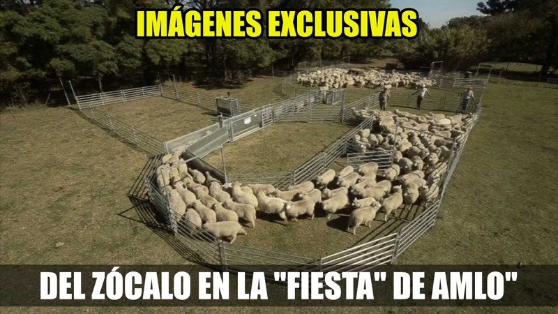 _pejendejadas's tweet photo. Increíbles las imágenes del #AMLOFest . https://t.co/GqykUSgZMV