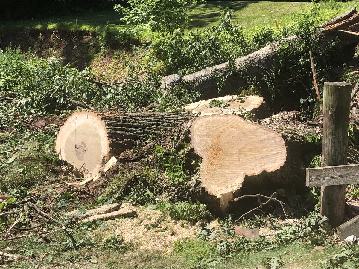 Fred Parcells tweet media