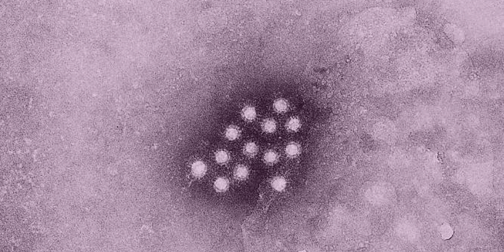 Hepatitis A Exposure Identified at Genghis Grill Restaurant in Tempe Marketplace 

More details: maricopa.gov/CivicAlerts.as…