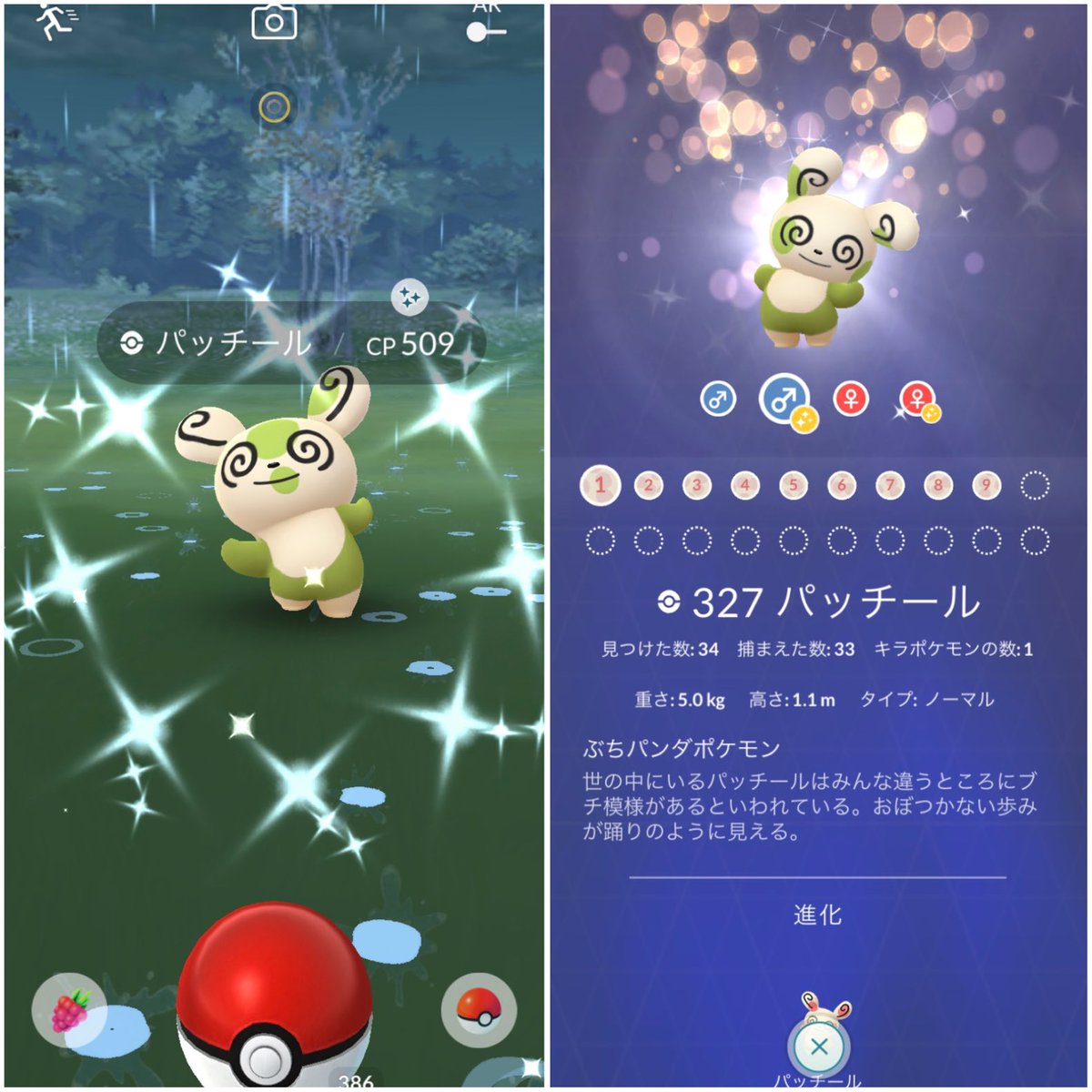 ポケモンgo 色違いパッチールの出現開始 対象となる番号は ポケモンgo攻略まとめ速報 ポケモンgo 色違いパッチールの出現開始 対象となる番号は ポケモンgo攻略まとめ速報