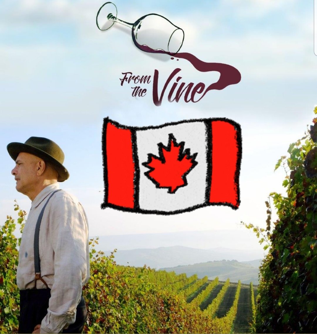 ICFFCanada's tweet photo. Happy #CanadaDay from #ICFF. Today we celebrate with a tribute to the Italian-Canadian co-production that won the #ICSavings award at #ICFF19. Directed by @seancisterna and based on the book Finding Marco by Ken Cancellara. https://t.co/MFw3EkYdFF