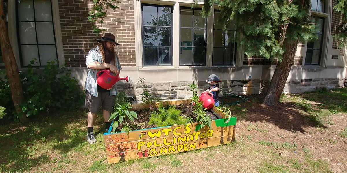 MrBarltrop's tweet photo. #EcoSchools - the Extra Curricular that doesn't care if it's summer, or #CanadaDay. Few things better than spending a beautiful day watering the @wtcstdsb pollinator garden with my son.
@EcoSchoolsCAN @EcoSchoolsTDSB @TDSB #TDSB #WTCS #Environment #Gardening #WhatBinder https://t.co/0BkVvWHSpv