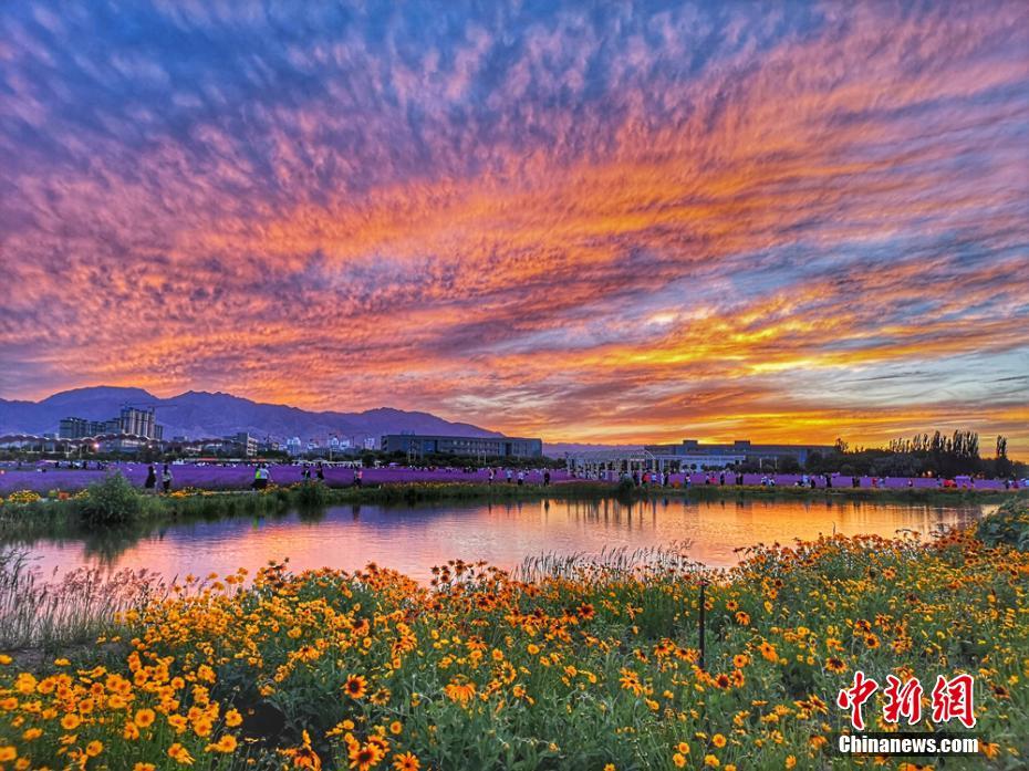 中國新聞社on Twitter 美景中国 6月30日傍晚 甘肃省金昌市霞光漫天 在该市紫金花海景区 五彩霞光辉映满园花朵 色彩斑斓像一幅油画