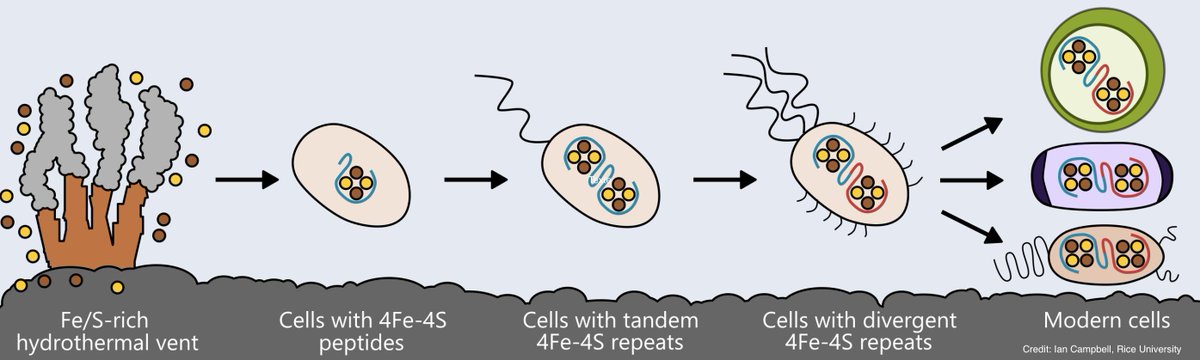 small ring compounds in organic synthesis