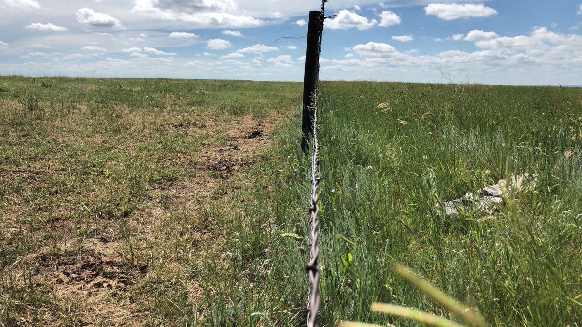 21cowhorses's tweet photo. Grazing management is important.. July 1st, 2019. https://t.co/j2RcxFxMOj