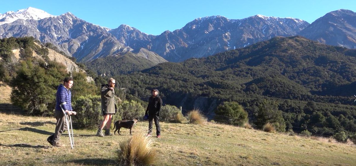 Farming with Native Biodiversity tweet media