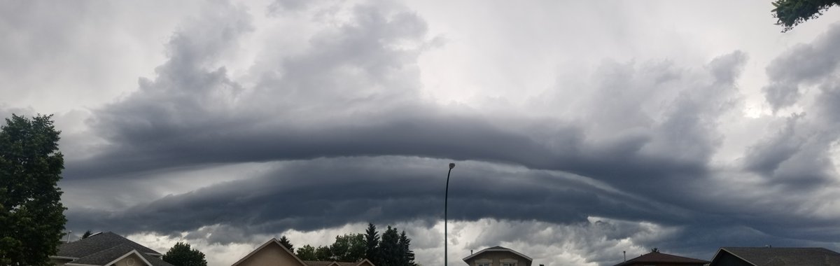 Daxton D tweet media