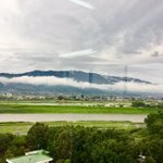ツイートに含まれる画像
