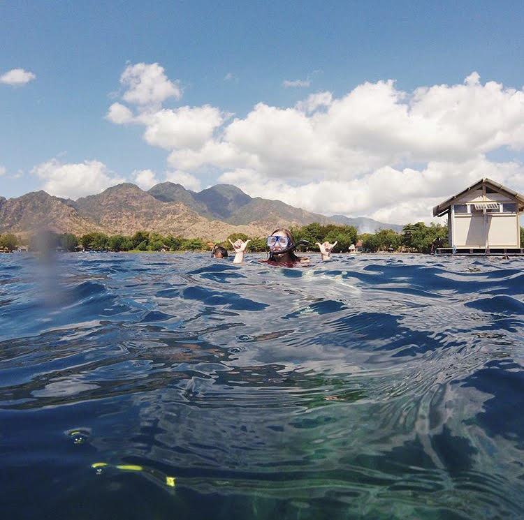 Bali_Institute's tweet photo. "Snorkeling is so therapeutic to me, as I love just to watch the fish🐠 swim by me and the coral underneath me. The Bio rocks reef was so cool and is doing such amazing work!" -@floridastate student Angelina Grosso on @bmanciagli 's Social Entrepreneurship program in Bali! https://t.co/aimunFXfey