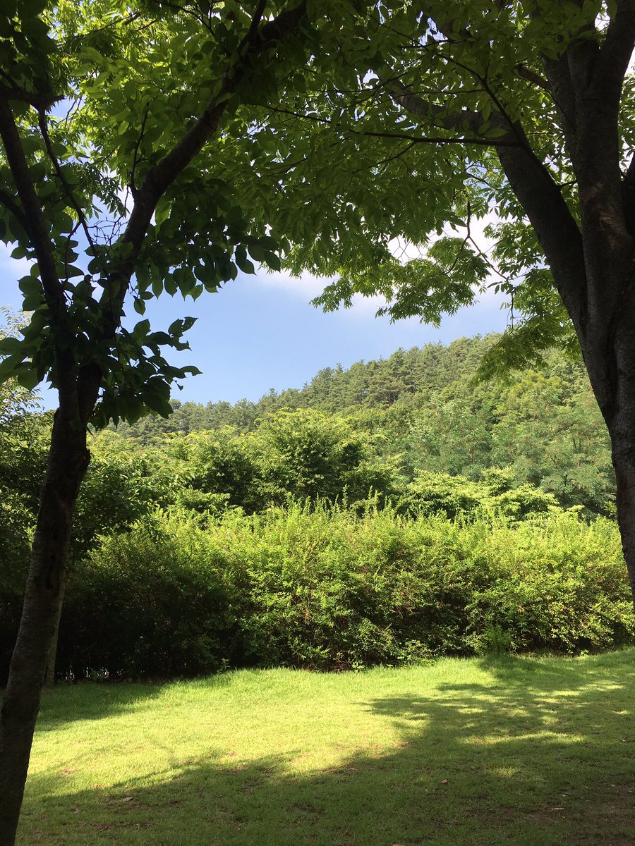 limemint_k's tweet photo. 아침 공원 https://t.co/74eKGEP2il
