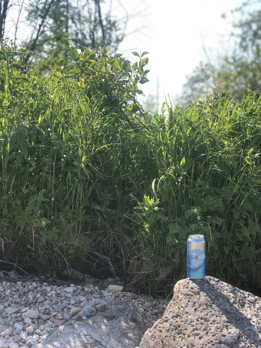 623business's tweet photo. If you don’t have a proper online strategy you’ll be left stranded behind the competition.

#ClearwaterFresh
#JewelofCanada
#624bevco 
#623biz https://t.co/i10dcRxlRZ