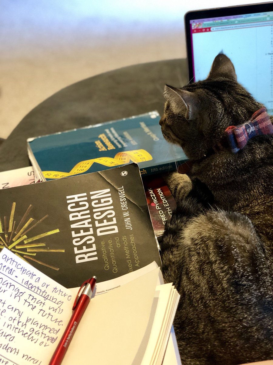 drjadegeary's tweet image. Buckbeak and I are studying hard for #oralcomps over here. #docstudent #edtechuofsc