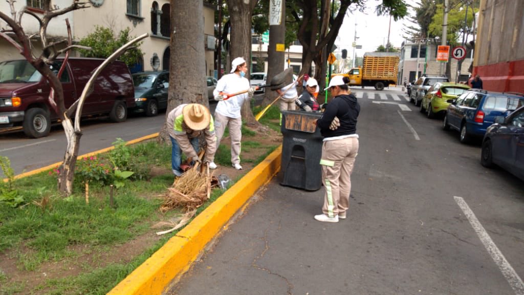 TuAlcaldiaGAM's tweet photo. Realizamos limpieza en varios #Camellones como el de Real del Monte, Necaxa, Rómulo Escobar y Glorieta de Progreso. 🌲🧹 https://t.co/NhOWCftwjV