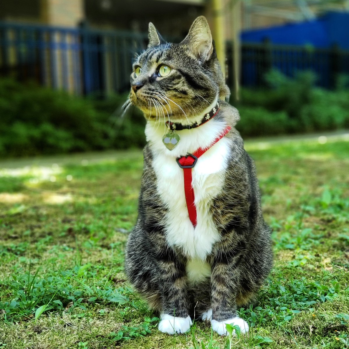 Happy Canada Day! 🇨🇦🎂 

#152canada #canada152 #152canadabirthday #ohcanada #canadaday #enjoycanada