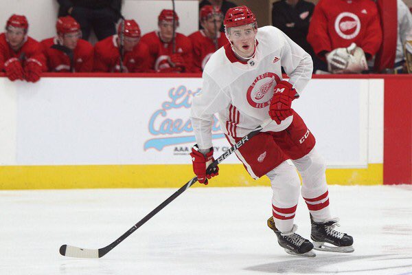 Union Dutchman/ <a href="/DetroitRedWings/">Detroit Red Wings</a> prospect Jack Adams (<a href="/J_Danglefest2/">Jack Adams</a>) fully tore his ACL and MCL on the last day of development camp after a knee on knee hit. He told me Surgery is in a month. Full recovery expected.. 🙏🏻