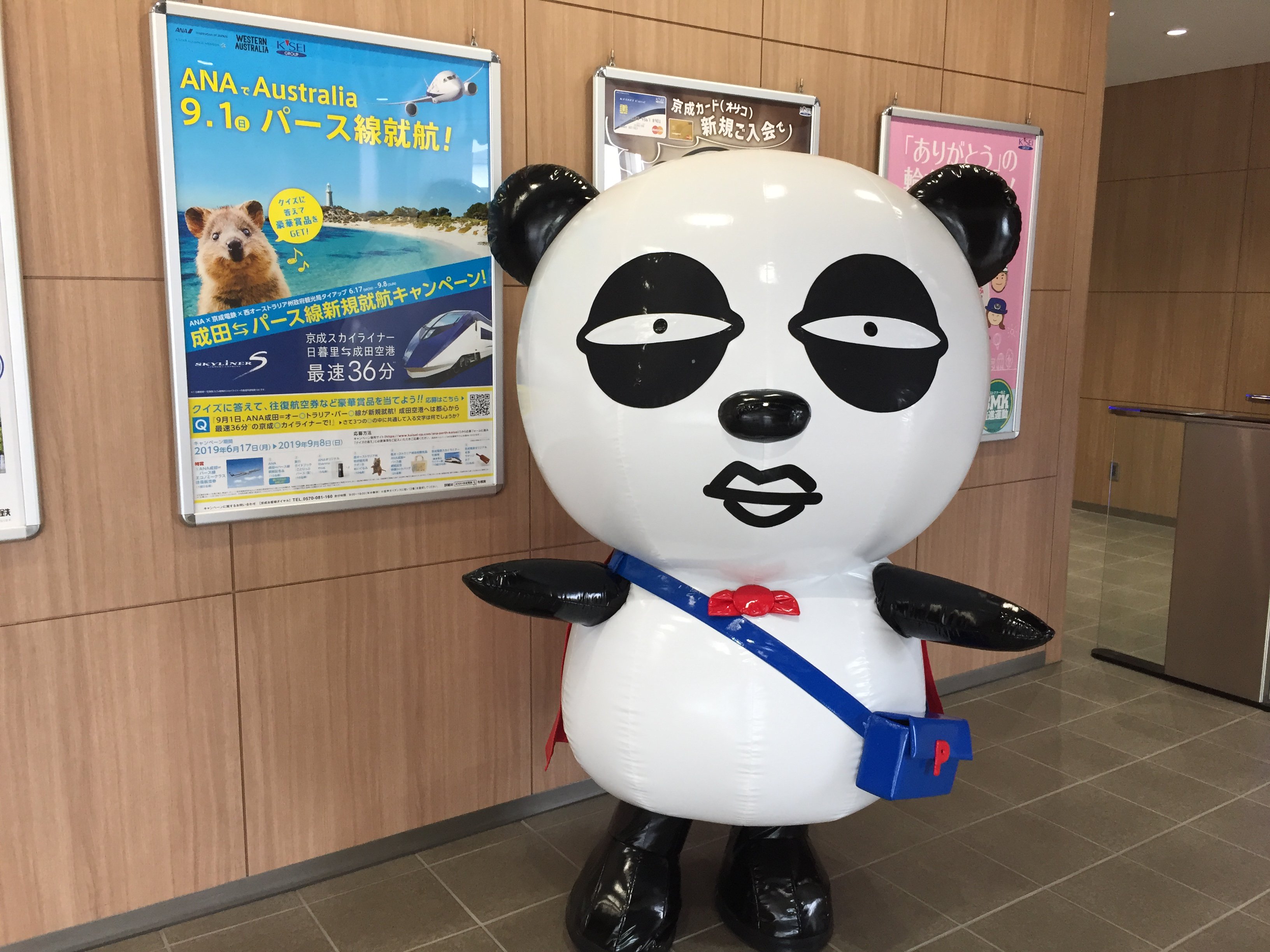 京成パンダ 公式 ａｎａ 京成電鉄 西オーストラリア州政府観光局 クイズに答えてパースに行こう 成田 オーストラリア パース線 新規就航 を記念してタイアップ キャンぺーン を実施中 ９月８日まで T Co 4q6yaqi4up ａｎａ 京成電鉄