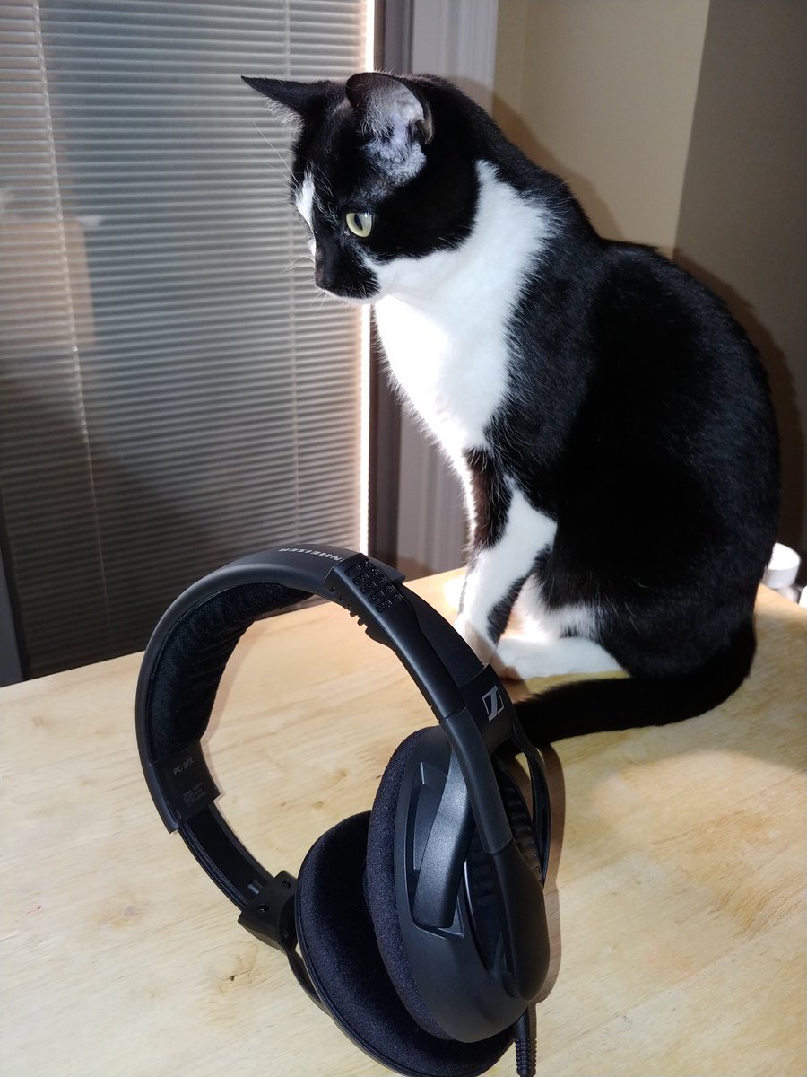 CastisV's tweet image. Review soon #pc37x #massdrop