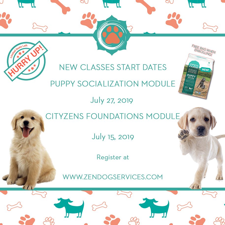 Registration is now open! #puppy #class at Zendog zendogservices.com