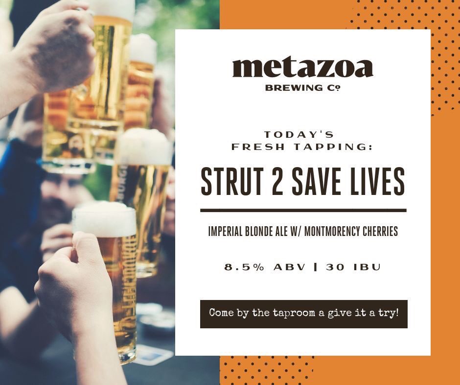 In the month of June, this delicious imperial blonde earned us a total of $1,169! Thank you <a href="/MetazoaBrewing/">Metazoa Brewing Co.</a> for supporting us &amp; brewing up some tail-wagging proceeds!

Stay tuned for the total earnings of our event yesterday. We can’t wait to get it all tallied! #Strut2SaveLives