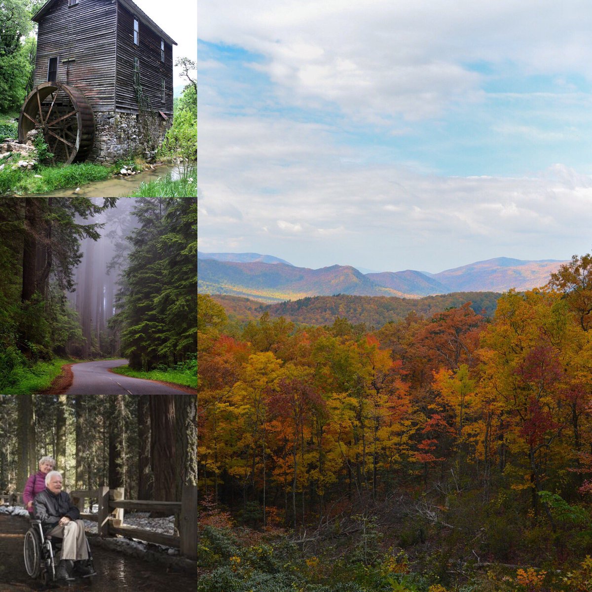 How about visiting the Smokey Mountain National Park?  Accessible cabins