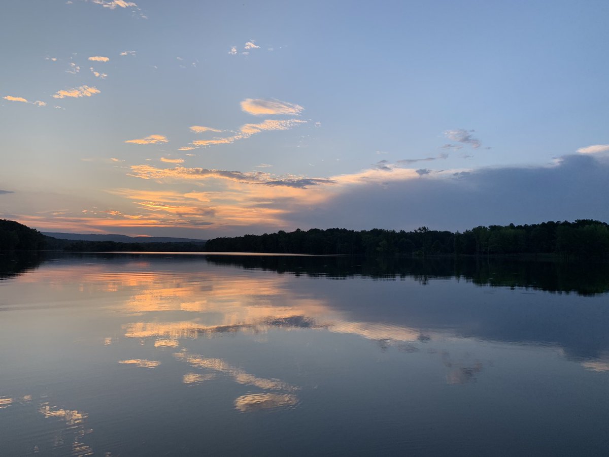 Kelly Wakeley tweet media