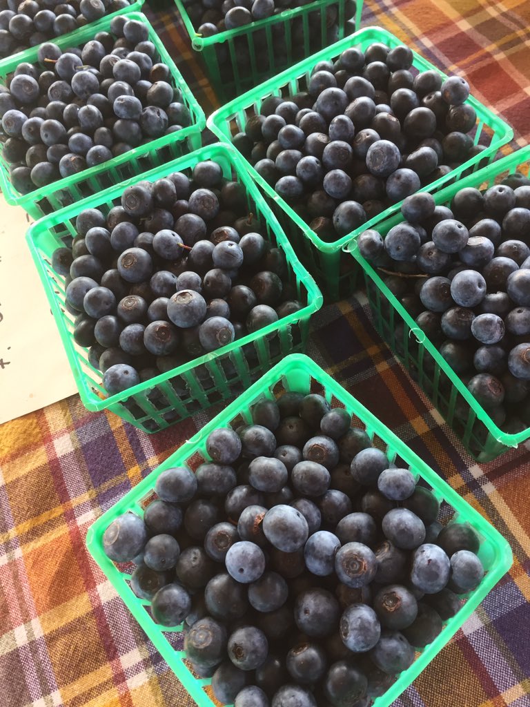 We’ll be open tomorrow 2:30 - 6:30. Come by early for fresh green beans and blueberries. #buylocal  #produce #farmersmarket #localproduce #healthyfood #gainesvillegeorgia #freshfruit #placestogoinhallcounty