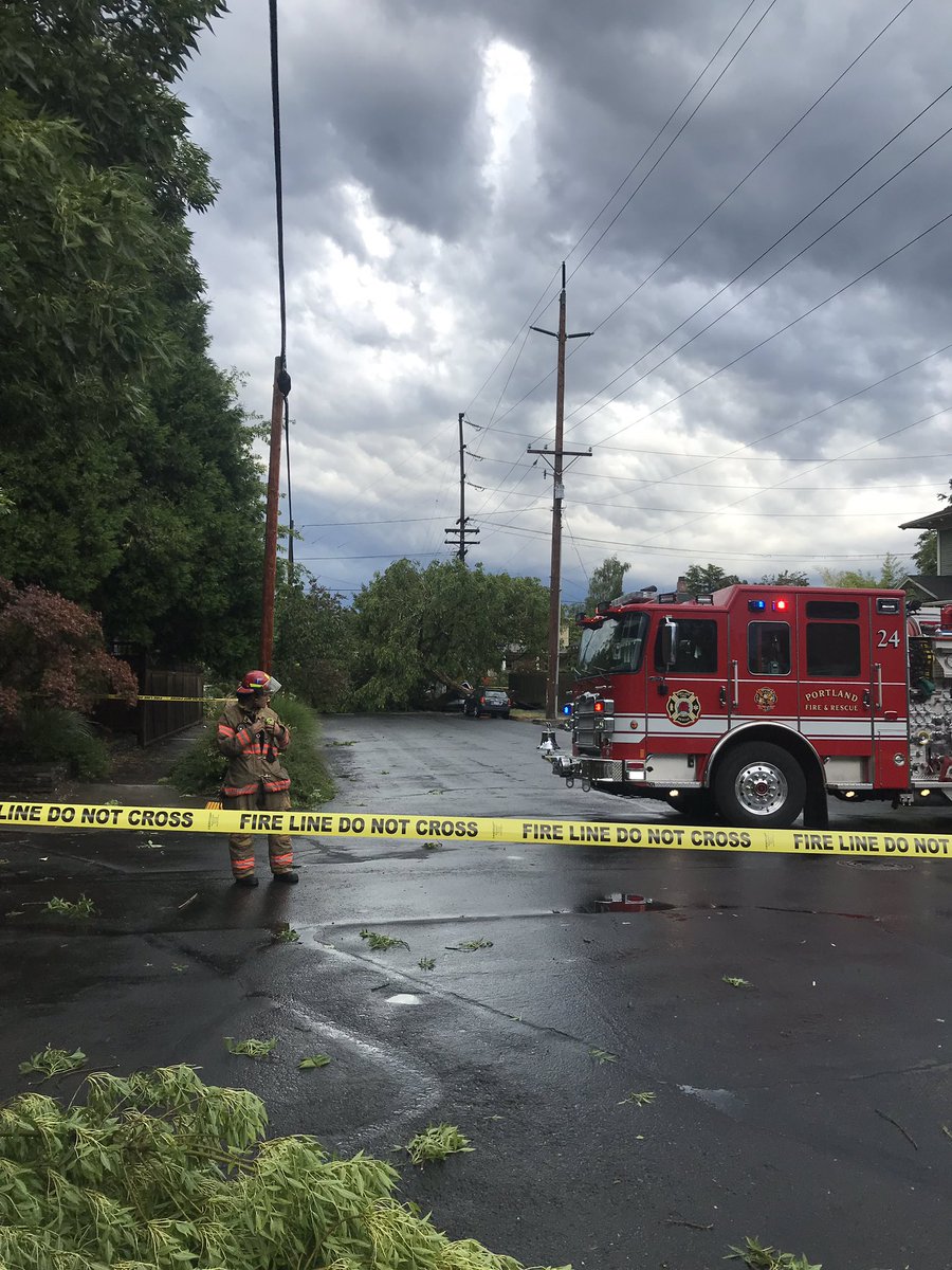 Steve Fogarty tweet media