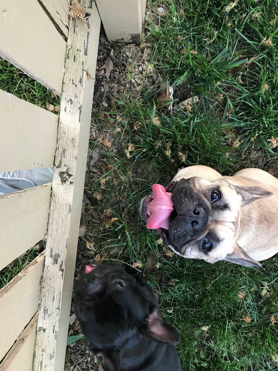 Chuck Law tweet media