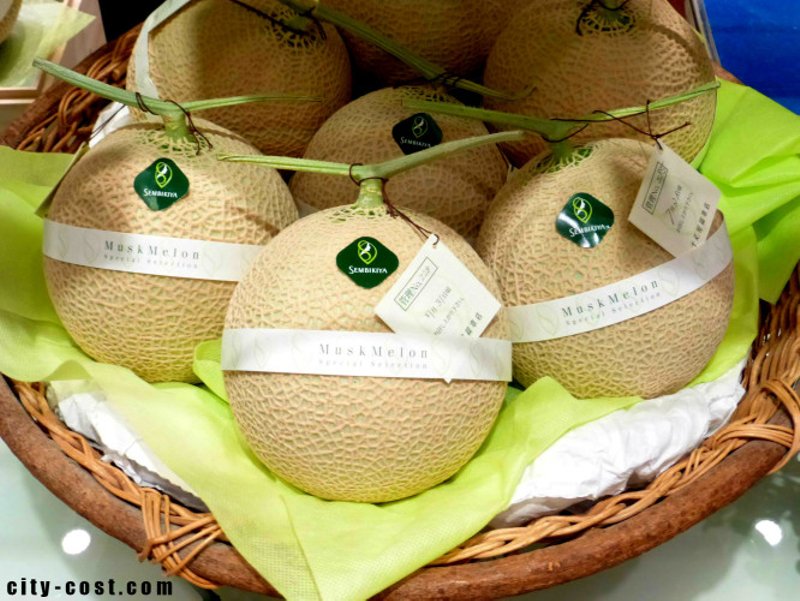 I learnt something new about #melons today - the netting of the skin is related to the sugar content &amp; distribution in the fruit so many niche, high value Asian markets seek tight even netting as indicator of quality 
<a href="/CHDCorp/">CHDCorp</a> 2019 CQNQ Port Tour <a href="/growcom/">Jujutsu Camp</a> #export <a href="/townsvilleport/">Port of Townsville</a>