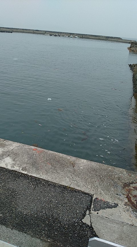 ねこのて 愛媛県松山市で買い物代行 Nekonote1150 Twitter