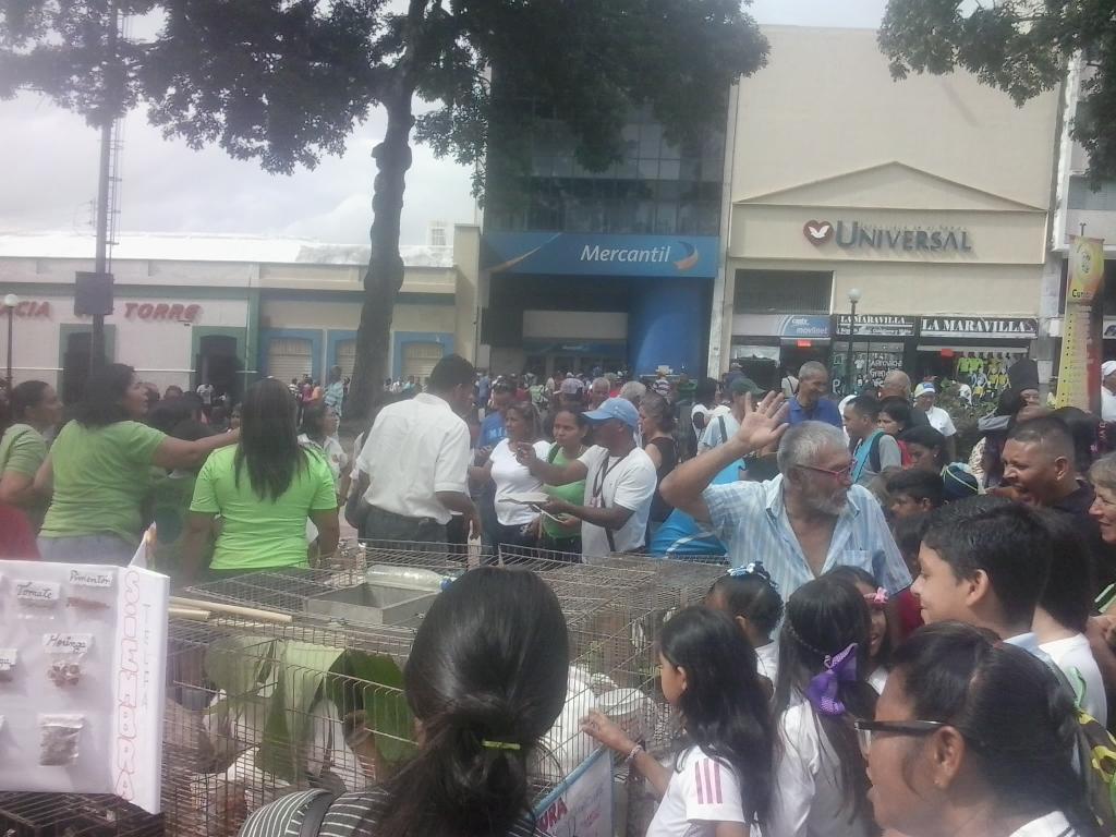 PRurdaneta's tweet photo. @PtmsCarabobo #conejos https://t.co/dt6iKMlDeE