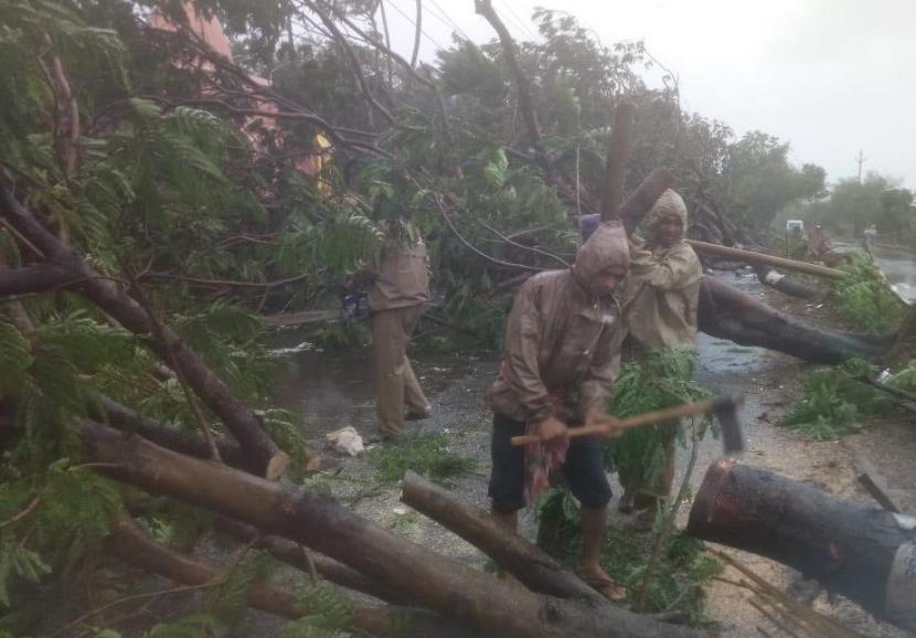 kanak_news's tweet image. ଫୋନିରେ ମୋଟ ୨୧ ଲକ୍ଷ ୯୦ ହଜାର ଗଛ ନଷ୍ଟ । ୯ ଲକ୍ଷ ଜଙ୍ଗଲ ଓ ଅଭୟାରଣ୍ୟରେ ନଷ୍ଟ । ସହରାଞ୍ଚଳରେ ୨ଲକ୍ଷ ୫ହଜାର ୨୧ଗଛ ନଷ୍ଟ । ଭୁବନେଶ୍ୱରରେ ୧ଲକ୍ଷରୁ ଅଧିକ ଏବଂ ପୁରୀପେ ୪୯ହଜାର ୪୫୯ ଗଛ ନଷ୍ଟ ହୋଇଥିବା ଆକଳନ କରାଯାଇଛି । ସେହିଭଳି କଟକ ଏବଂ ଖୋର୍ଦ୍ଧାରେ ମଧ୍ୟ ଲକ୍ଷାଧିକ ଗଛ ନଷ୍ଟ ହୋଇଛି #CycloneFaniAfterMath