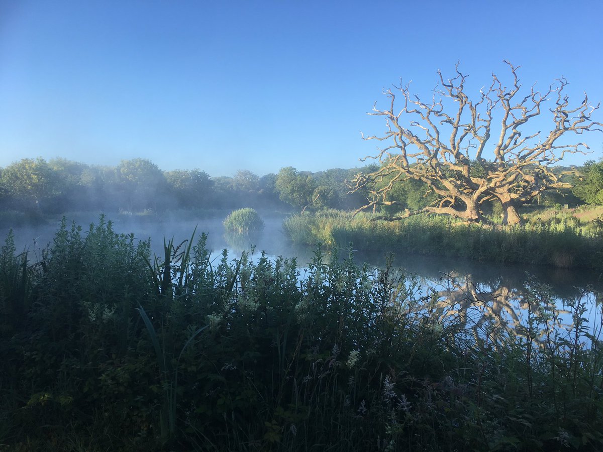 cornish_hobo's tweet photo. Another #beautiful #morning in #Cornwall #nelsonslake at #parkdean #whiteacres looking stunning in the morning sun https://t.co/RitrBTwC9Z