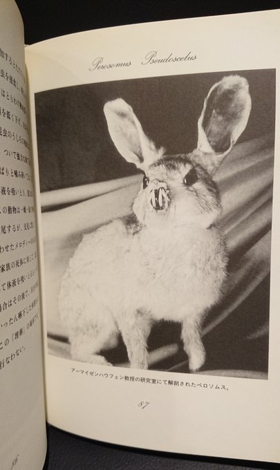 秘密の動物誌のtwitterイラスト検索結果 秘密の動物誌のtwitterイラスト検索結果