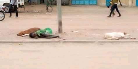 Succes_MASRA's tweet photo. Le #Tchad a besoin d'un #Plan_Marshall pour son développement et non pas d'une #Cour_Martiale. 

Promettre en 3 ans ce qu'on n'a pas fait en 30 ans, qui peut croire? Le bilan des 72h, de l'eau et électricité pour tous est où?

 #Changer_De_Leadership. https://t.co/hhZS4ODZPU