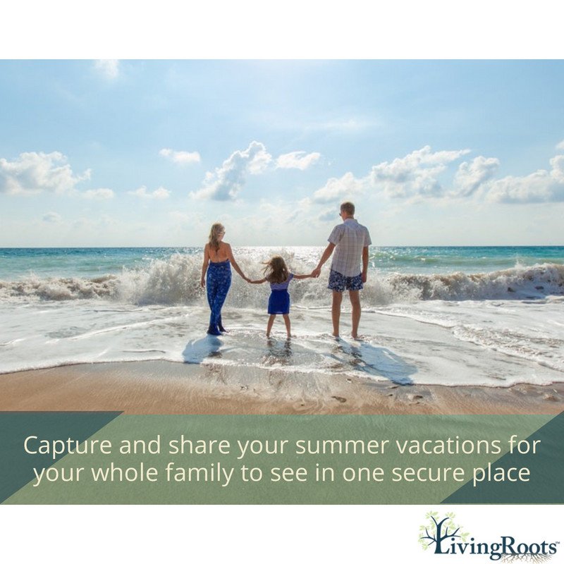 LivingRoots tweet media