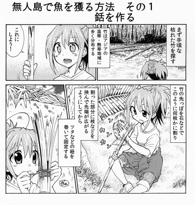 無人島でモリで魚を獲る時は危険生物に気をつけよう！
TVやホテルの遊泳エリアではこまめにスタッフが毒生物を除去してます　刺されると大変なことになります 