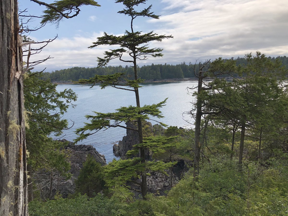 Yankee_Pat's tweet photo. What a great Canada Day here in Tofino. Happy birthday, everyone https://t.co/MjYy6Ls5i2