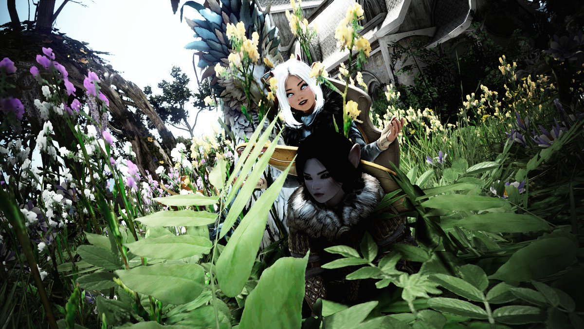 LargeNapTTV's tweet photo. GRANA GANG! π€π₯
ProjectMilky|NA @BDO_News #BlackDesertOnline #BDOSS #MMORPG #MMO #BDO #BDOScreenshot #BDOMemories #videogames #gamer #gaming #videogamescreenshot #PCηι»γη ζΌ #BDOcharacter #BDOremastered #BDOShai #videogamescreenshot #ι»γη ζΌ SSι¨ #NotCameraShai https://t.co/UGD0vVJUqs