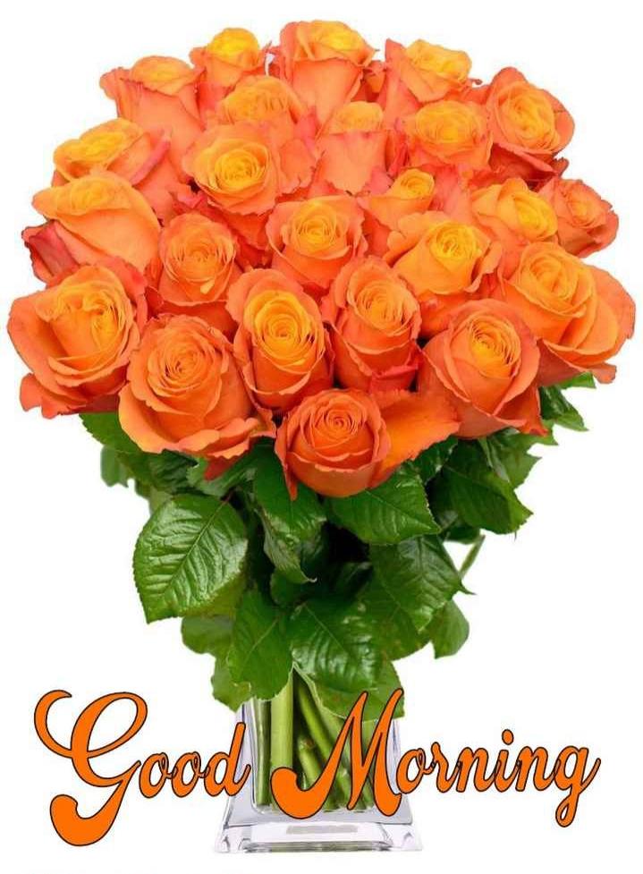 bablukumarray51's tweet image. Good morning