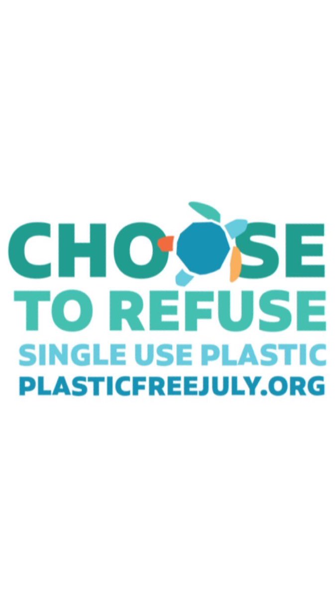 sngwmovement's tweet photo. Today kicks off #PlasticFreeJuly! Join me in saying no to single-use plastic and yes to eco-friendly alternatives. This is a great initiative and even if you think it will be hard, it’s so important to try. Plus, I’ll be sharing eco-friendly tips all month to motivate you! https://t.co/OQlBy5G5RI