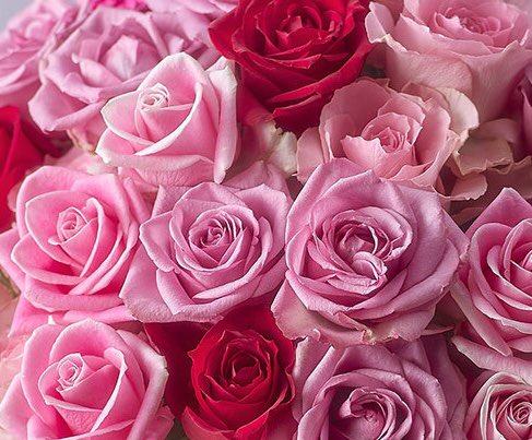 good morning  sayo ji oppa  beautiful new day for you my cingu ya cute 🐒🐒🦊🦊🎸🎤🎶🎵🎼🦊🦊🐯🐯🤩😍😋